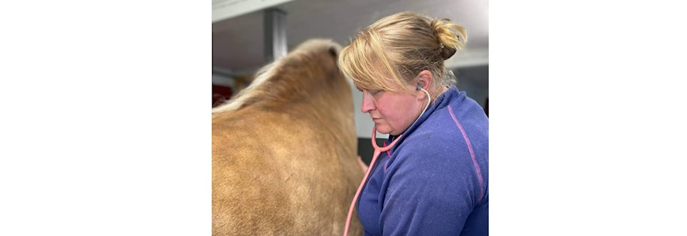 Førstehjelpskurs med Liv Marit Gudheim